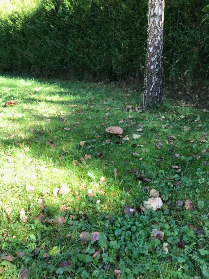 Domki Nad Stawem. Polańczyk Exterior foto