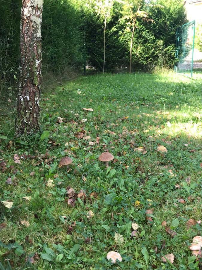 Domki Nad Stawem. Polańczyk Exterior foto